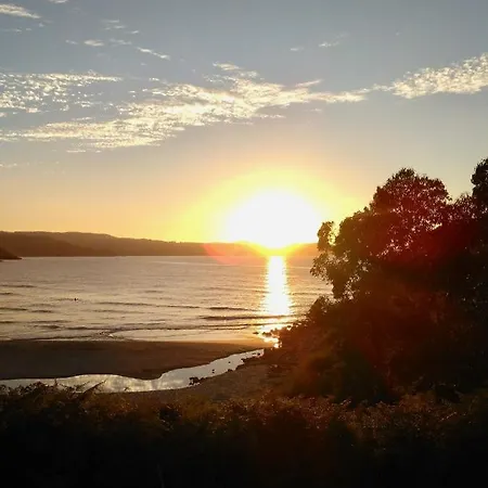 Marina Sol Te Hara Sonar